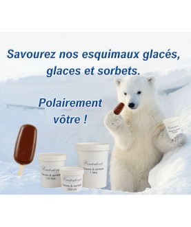 Glace maison 525ML