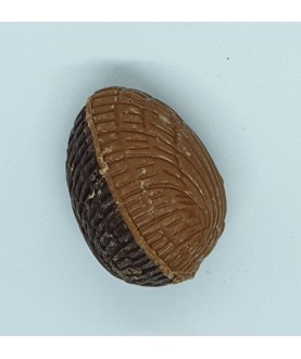 Ganache au caramel beurre...