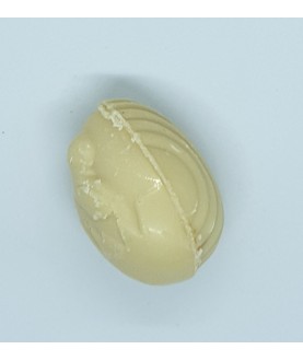 Ganache aux fruits de la...