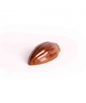 Ganache cacao-fruit 100gr